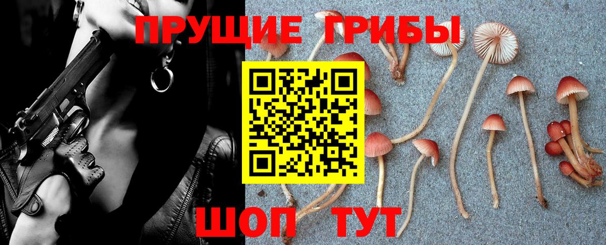 Псилоцибиновые грибы ЛСД  Галлюциногенные грибы мухоморы  Вход с VPN  наркошоп  Реж 
