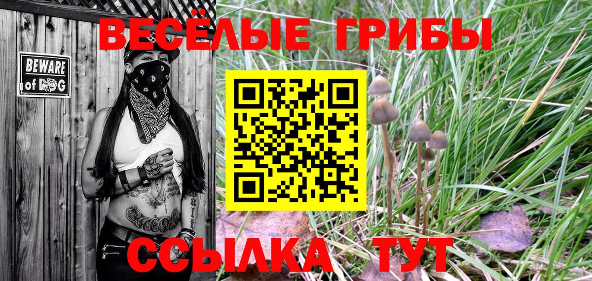 Псилоцибиновые грибы Psilocybe Реж